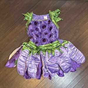 Purple Floral Fairy Kids Costume with Green Accents